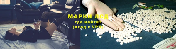 ешки Новодвинск
