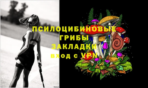 дмт Нефтегорск