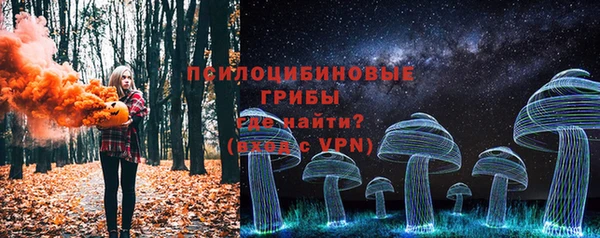 дмт Нефтегорск